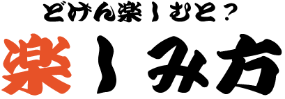 どうやん楽しむと？ 楽しみ方